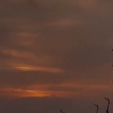 برو به انتشارات رند شیرازی