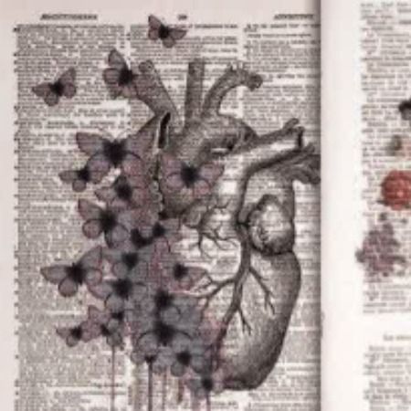 برو به انتشارات پیوند دل‌ها، هم‌سویان زمین