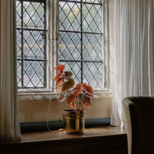 برو به انتشارات انتشارات this life