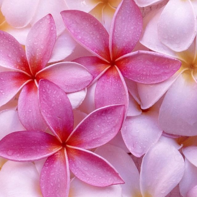 برو به انتشارات مقالات زهرا سادات عمادی