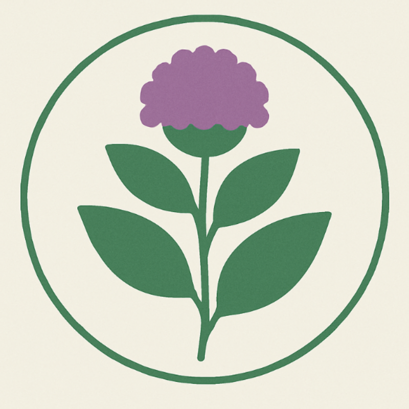 برو به انتشارات کاکوتی