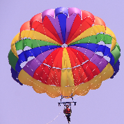 سفرنامه های فلرتیشیا