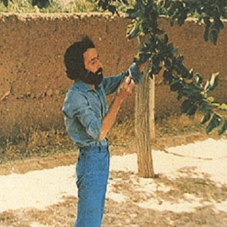 برو به انتشارات من هنوز زنده ام