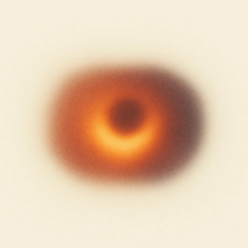 پروژهٔ انتخاب