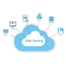 هاست خوب چه ویژگی هایی باید داشته باشه؟