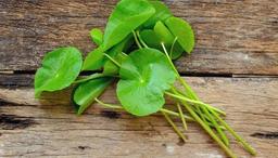 چقدر با گیاه سنتلا آسیاتیکا و خواصش برای پوست آشنا هستید؟