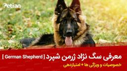 سگ نژاد ژرمن شپرد [German Shepherd] + معرفی خصوصیات+ امتیاز دهی