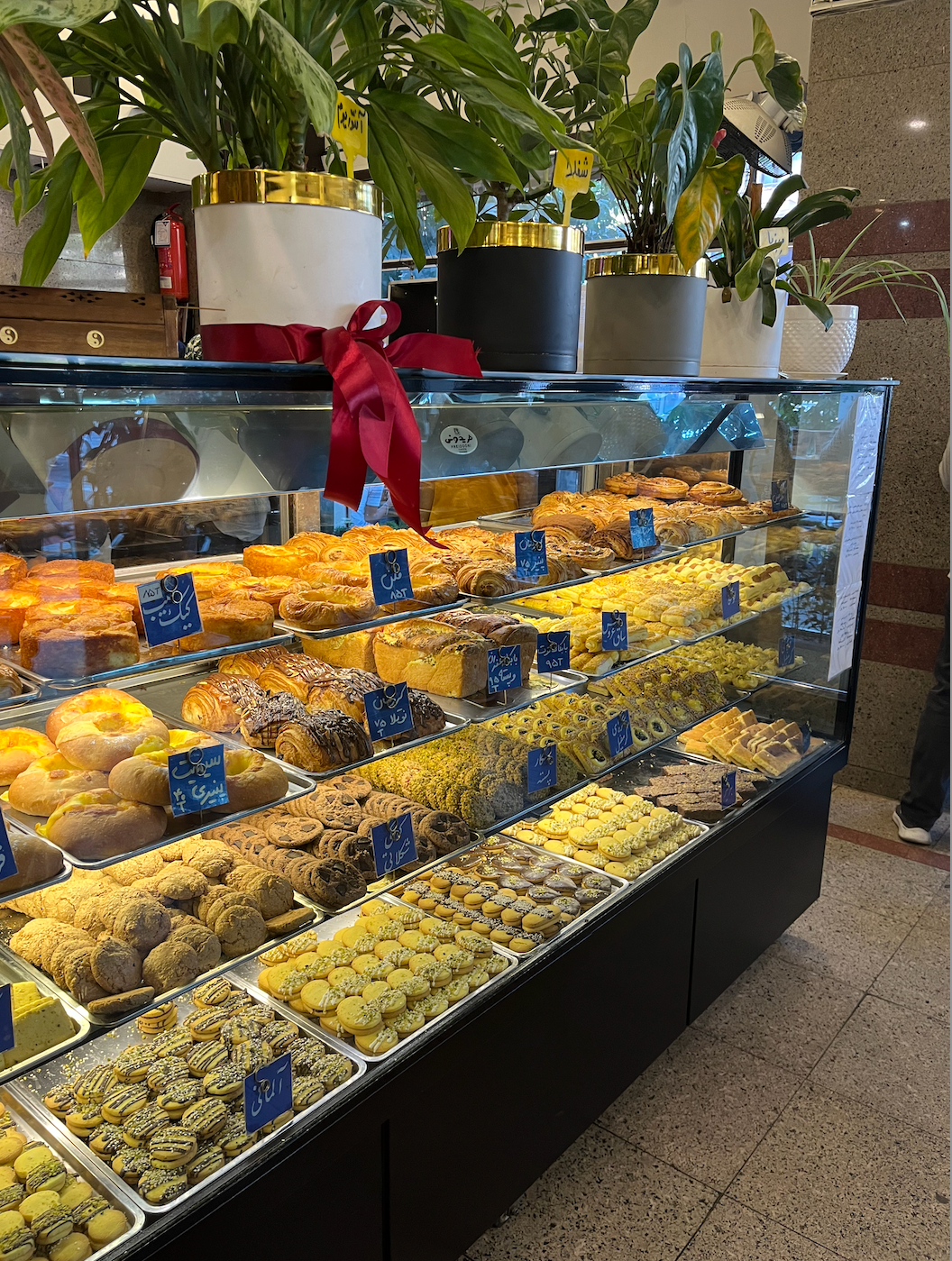 بعد از ضبط اول با فیروزه رفتیم شیرینی فرانسه! نهایی کردن کار، یک موفقیت بزرگ برای ما بود.