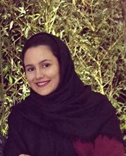 نگار داوودی، پشتیبان نرم افزار