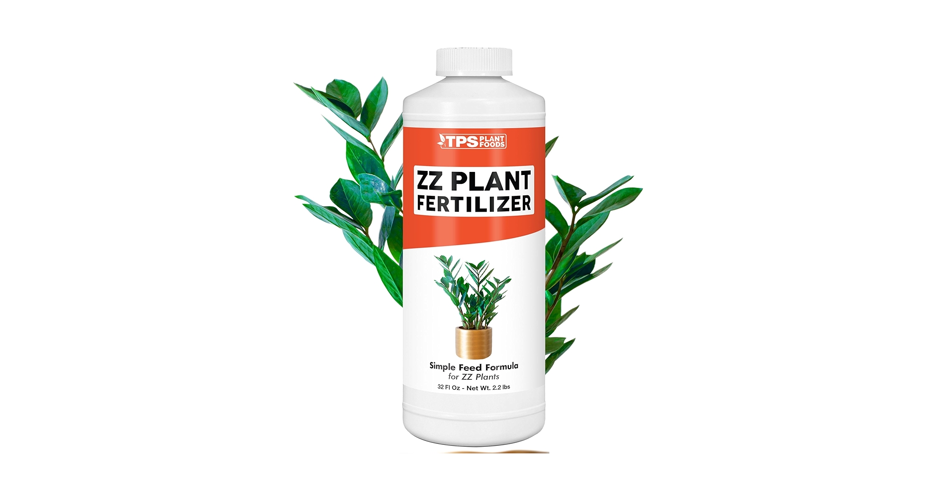 کود مناسب زاموفیلیا