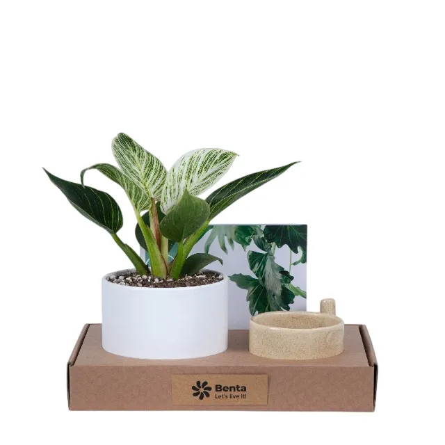 پک هدیه شرکتی با برکین