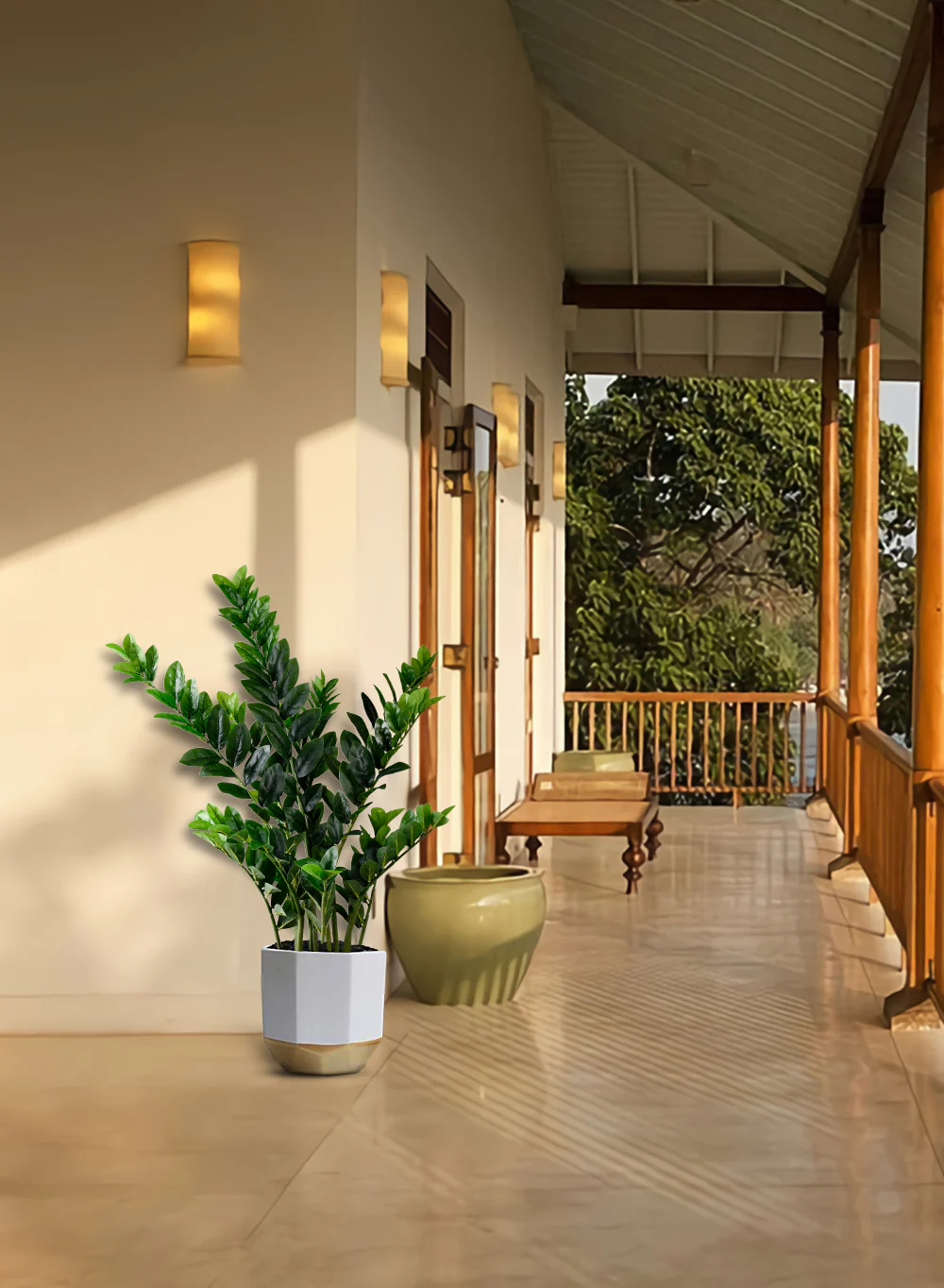 فواید گل زاموفیلیا برای دکوراسیون مدرن