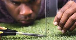 چه چیزی کمالگرایی خلق می کند؟