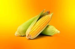 راهکار کسپرسکی برای جلوگیری از حملات فیشینگ: دامنه های مشابه و نحوه تشخیص آنها