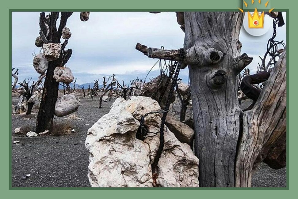 جن های زنده دردرختان?