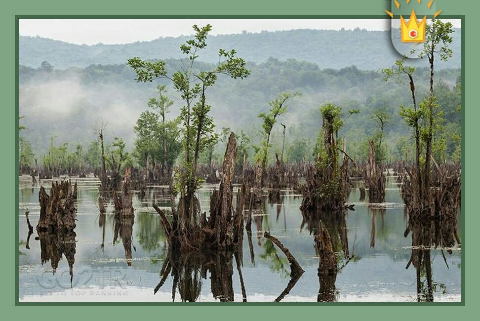 ارواح تالاب?