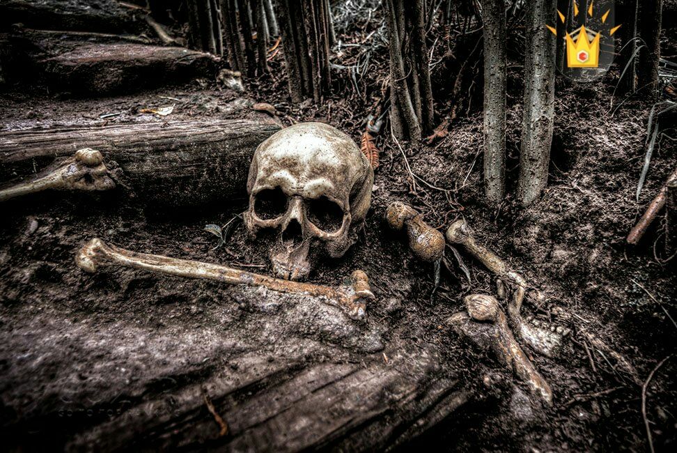 اسراری پشت واقعیت?