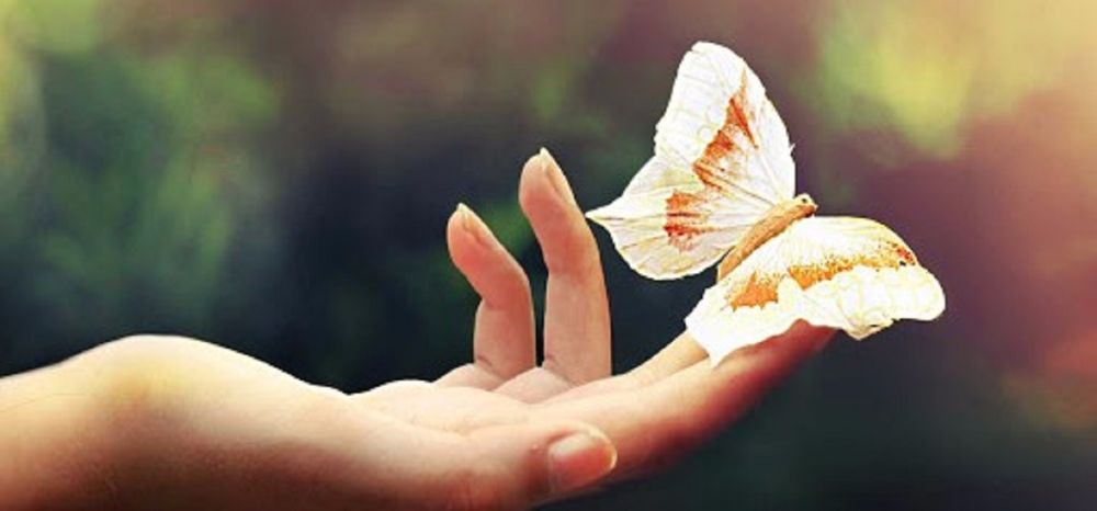 ساده بودن زیباست