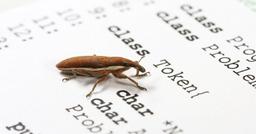 چهارشنبه "سوزی" دیجی کالا(باگ بانمک)(بایگانی شده)