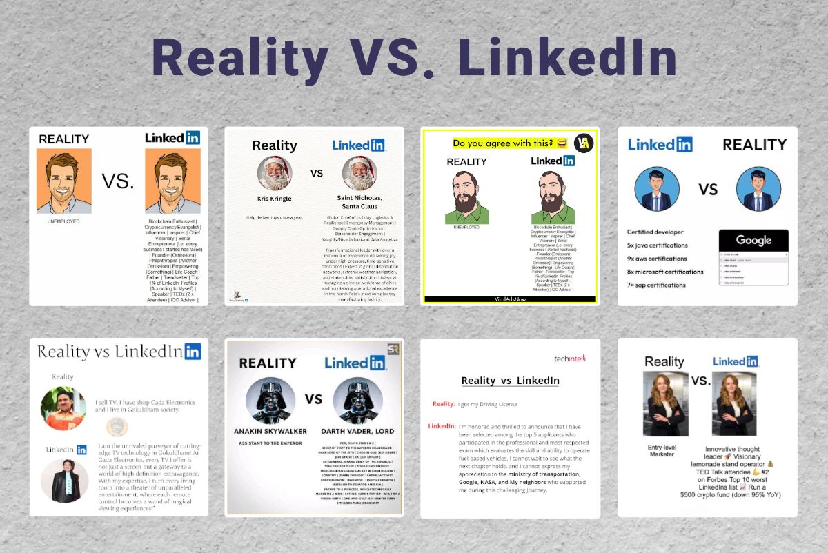 میم «واقعیت و رزومه» (Reality vs Resume)