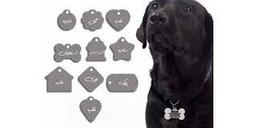 بهترین ابزارها و وسایل دیجیتال برای نگهداری و تربیت سگ