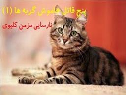 پنج قاتل خاموش گربه ها