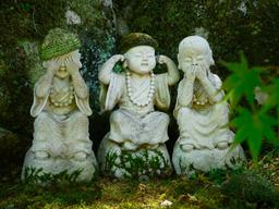 دانستن و ندانستن!