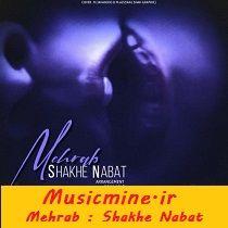 آهنگ مهراب شاخه نبات