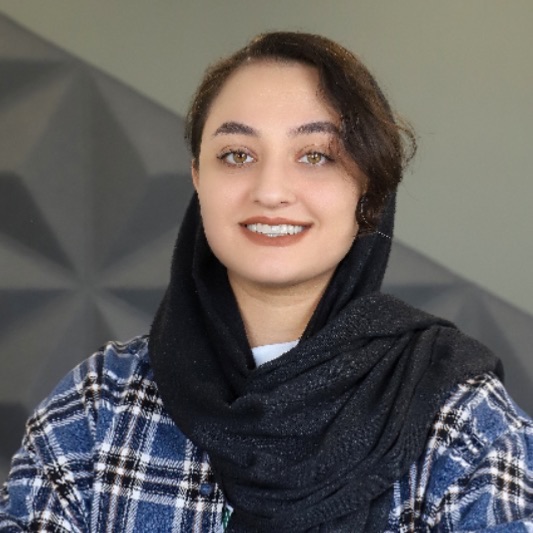 پرستو هدایتی