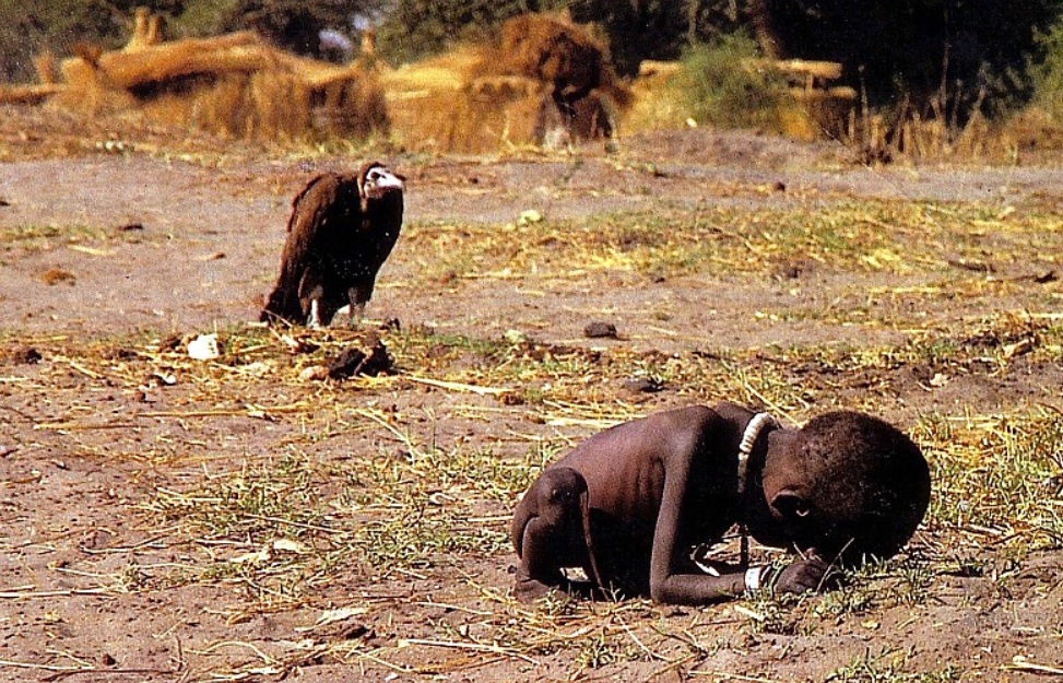 The vulture and the little girl ,Photograph by Kevin Carter
