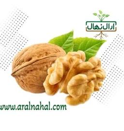 بهترین نهال‌های میوه برای کاشت در باغچه خانگی