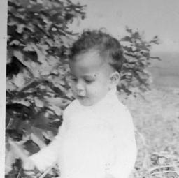 تو را چه شد؟