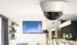 دوربین مداربسته دام چیست؟