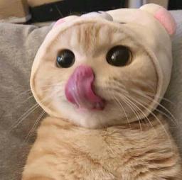 پرسشنامه‌ی دورافتاده...