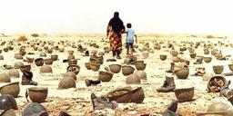 زیر سایه جنگ