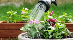 ژنی به نام وسواس‌های مامان‌گونه!