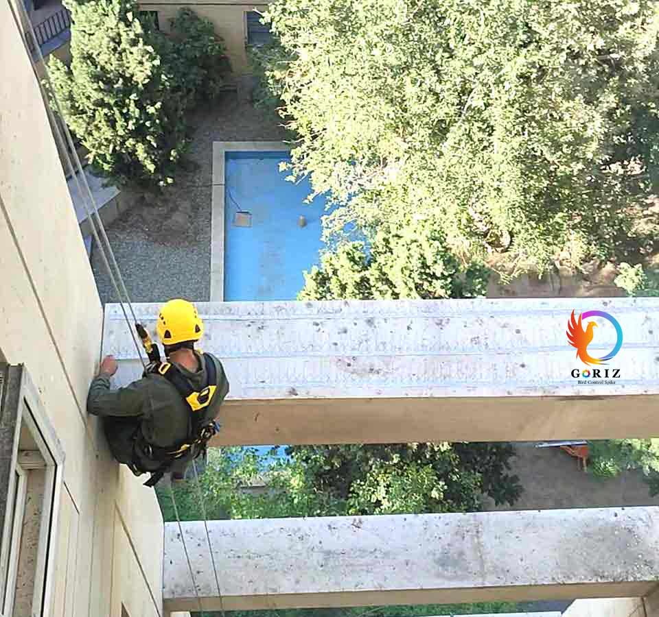 نصب شاخک ضد پرنده در نورگیر ساختمان