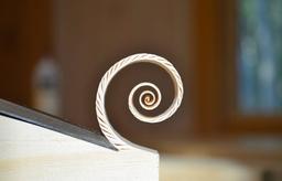 پدیده فیبوناچی درنجاری