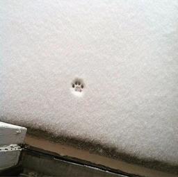 دوست داشته شدن| شعر