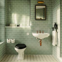 سرویس بهداشتی شیک ، اینگونه است !