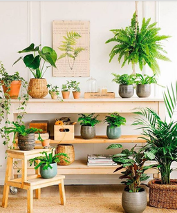 طراحی دکوراسیون داخلی  ویلا با رنگ سبز