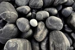 همیشه راهی هست