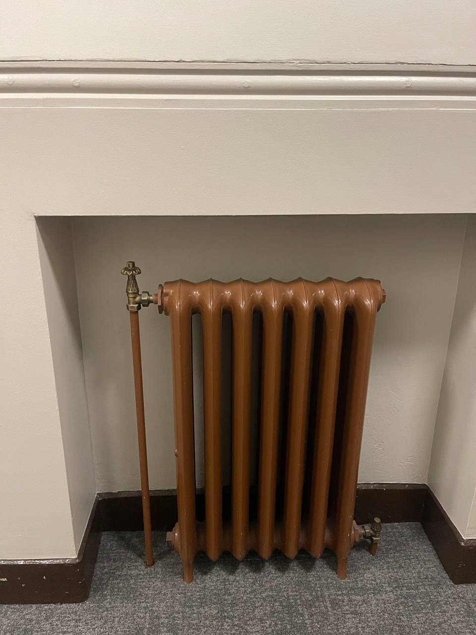 شوفاژ نازنازی دانشکده بیزینس