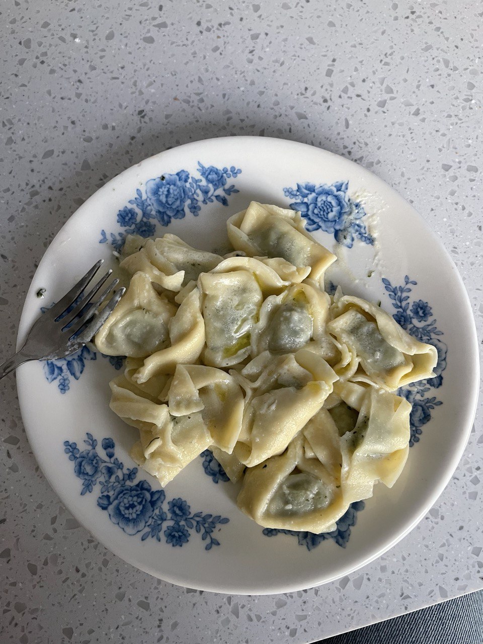 پاستایی که امشب درست کردم در بشقاب ملامینی که از خونه بابابزرگم اوردم.