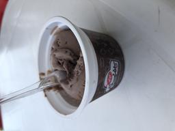 بستني : مبالغه آميزترين موجود دنياي لبنيات