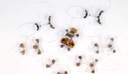 تولید حشره رباتیک انعطاف پذیر