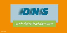 مدیریت DNS ها در دایرکت ادمین