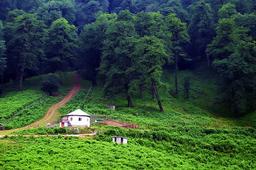 یه شروع تازه با ویرگول، آغاز یه تجربه جدید