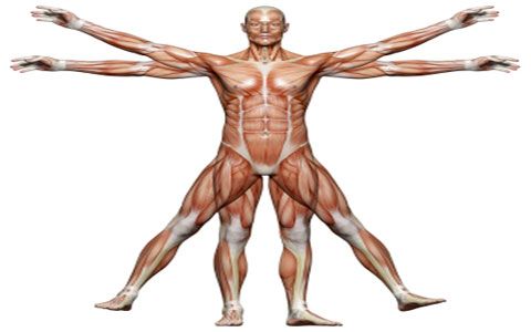 دانلود کتاب حرکت شناسی تندنویس