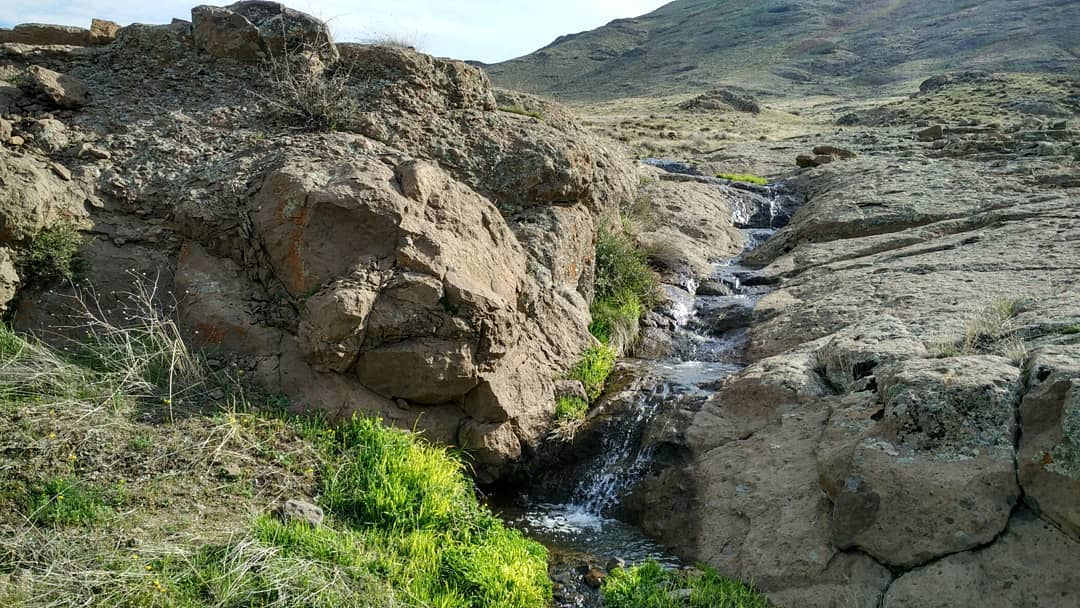 جزیره شاهی